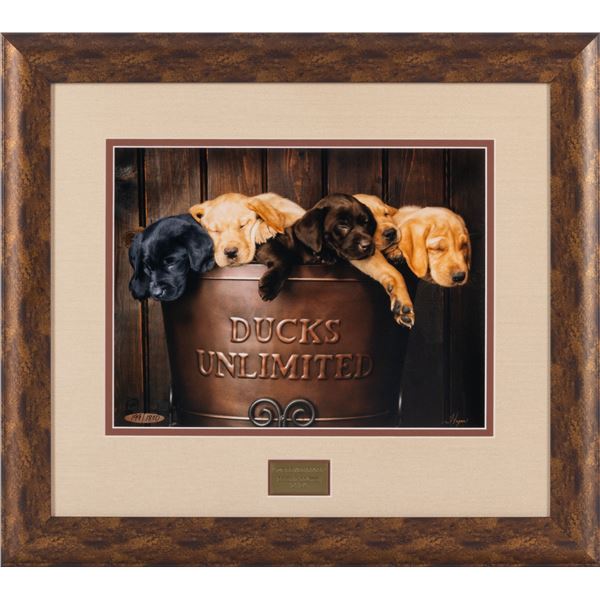 “We’re All Cool” by Dave Hagan