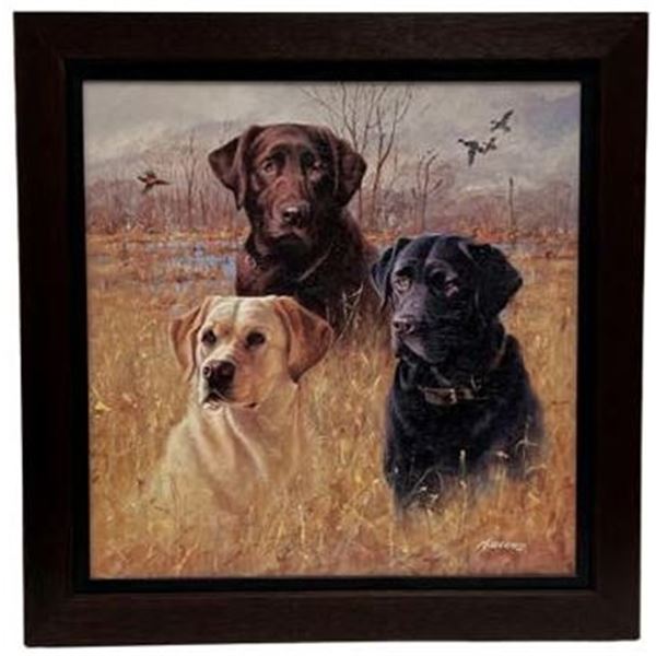 "Marsh Masters" by Jim Killen