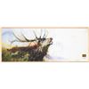 Valley Call Gallery Framed Canvas