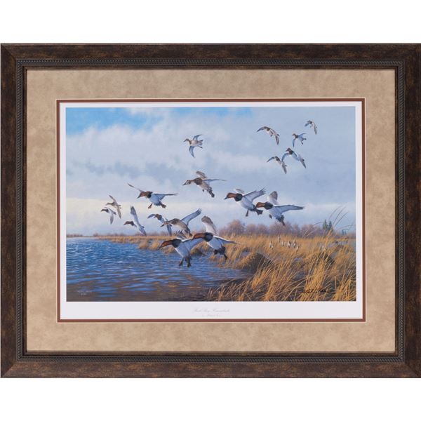 "Back Bay - Canvasbacks” by Michael Sieve