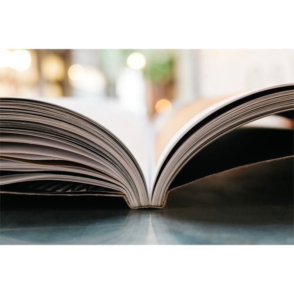 DUE DILIGENCE IS THE BIDDERS RESPONSIBLITY.