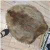 Image 8 : Contents On Shelf and Walls | Signed Cross Stitch Eagle Picture | Muskrat Pelt | +
