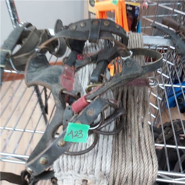 Horse Tack