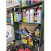 Image 3 : All contents + green shelf