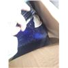 Image 7 : Contents of Box + Clear Tote
