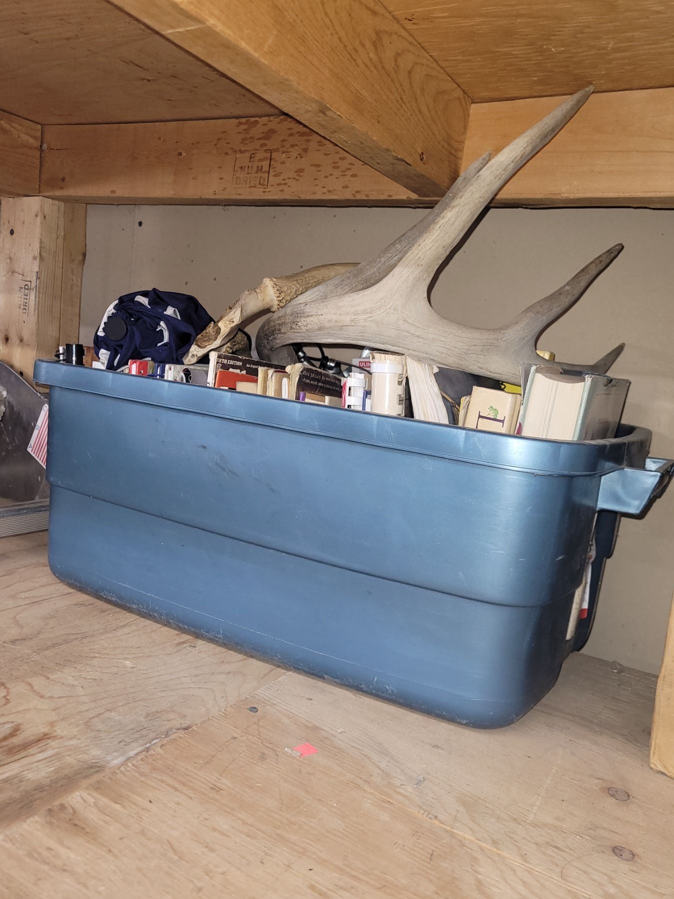 Contents of Blue Tote + Antler Rack