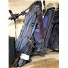 Image 1 : Golf bag