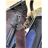Image 2 : Golf bag