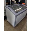 Image 2 : Double Door Ice Cream Chest Freezer | Model NIF-49-CG | Store Fixture