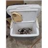 Image 3 : Electric 12V Igloo Cooler