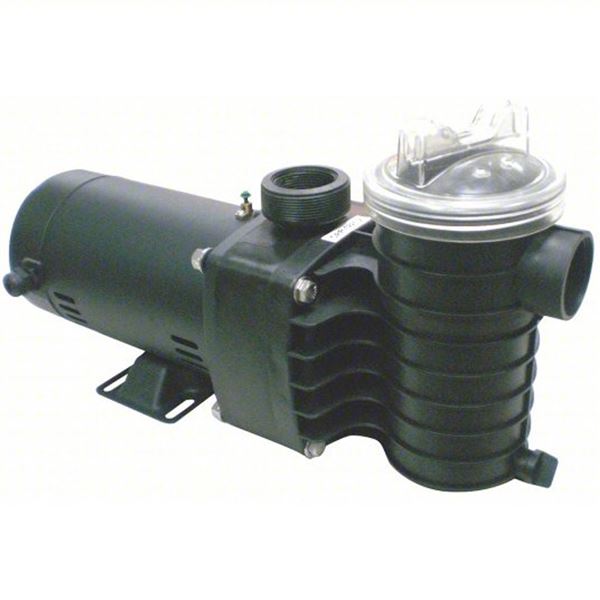 Dayton Spa and Pool Pump 1 HP 3450, 115V