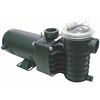 Image 1 : Dayton Spa and Pool Pump 1 HP 3450, 115V