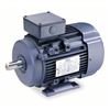 Image 1 : Qty 2 Leeson Metric Motor, 3/4 HP, 3,400 RPM, 230/460V