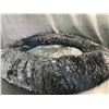 Image 1 : Lot of 1 Large Fuzzy/Shaggy Fluffy Pet Bed - Black - Over 3FT!