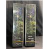 Image 1 : Lot of 2 Boxes of Outdoor Solar Starburst Lights - 2PCS Per Box - Multi-Colour - Brand New