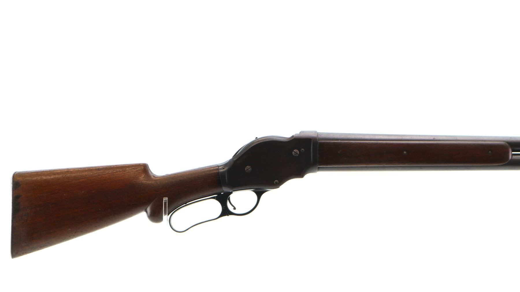 Steve Jones Calmina - Integratore Per Animali 60gr - Foto 9