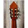 Image 8 : 2012 Paracho Classical ACC Guitar Hard Case