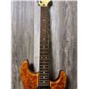 Image 9 : 2012 Strat Type Electric Guitar Soft Case