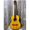 Image 1 : Giannini ACC Guitar Soft Case