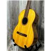 Image 3 : Giannini ACC Guitar Soft Case