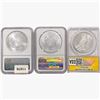 Image 2 : 1922-2011 [3] 2 SE, 1 $1 NGC,ANACS MS/AU