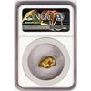 Image 2 : 8.88 Gram Yukon Gold Nugget NGC Graded