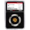 Image 1 : Lot of Colorado Gold Nuggets 1.50 Grams Total Weight NGC Vaultbox Unvaulted