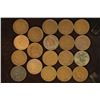 Image 1 : 19 ASSORTED INDIAN HEAD CENTS: 1900-1907.