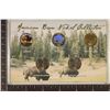 AMERICAN BISON NICKEL COLLECTION FEATURING 2005-D