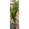 Image 2 : NEW ARTIFICIAL GOLDEN CANE PALM TREE - 6 FEET