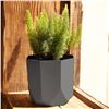 Image 3 : NEW 2 PACK BLOEM TUXTON MODERN HEXAGON PLANTERS