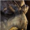 Image 8 : Stargate - Alien 'Chaka' Mask - Screen used