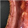 Image 5 : The Good Doctor - Flesh Tunnel - 15in H x 16in x 11in - screen used