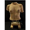 Image 1 : Peelers - Mech Mutant Torso - screen used