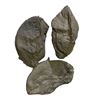 Image 2 : "Falling Skies" alien head masks