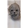 Image 2 : Mudmask Used in Ceremony on "Brand New Cherry Flavour" comes W/ Mold