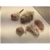 Image 2 : BRAND NEW CHERRY FLAVOR - Animatronic Kitten + Kitten Heads + folding kittens & Mechanical Set - Sea