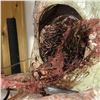Image 2 : "The 100" - Ep. 505 worm stomach core
