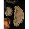 Image 2 : "American Mary" group of DR Grant prosthetics - includes face / forehead / photos etc