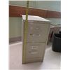 Image 9 : Qty 5 Waste Receptables & 2-Drawer Filing Cabinet