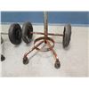 Image 2 : Qty 3 Rolling Oxygen Cylinder Hand Trucks