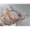 Image 3 : Resin Elk Statue From The Monarch Of The Wilderness Sculpture Collection- Darby Mint- Been Repaired-