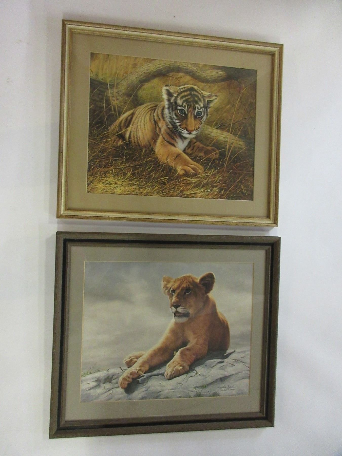 Cub Prints Tiger And Lion Cub Prints By Charles Frace- Letter Of Authenticity- 24 ...