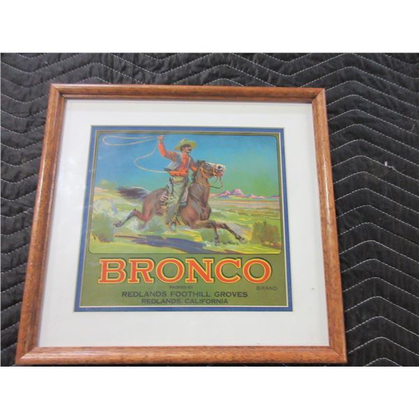 Framed "Bronco" California Fruit Co Label- 16" X 15"