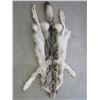 Image 1 : Tanned Alaskan Wolf Hide With Feet And Claws- 73" With Tail- Good Fur