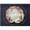 Image 2 : Hooped Beaver Hide- 34"- Some Damage