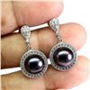 Image 2 : 10 mm Tahitian Pearl Earrings in 925 Sterling Silver