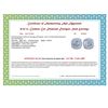 Image 2 : 0.25 ct. Cushion Cut Natural Diamond Stud Earrings in 925 Sterling Silver - Appraised Replacement Va