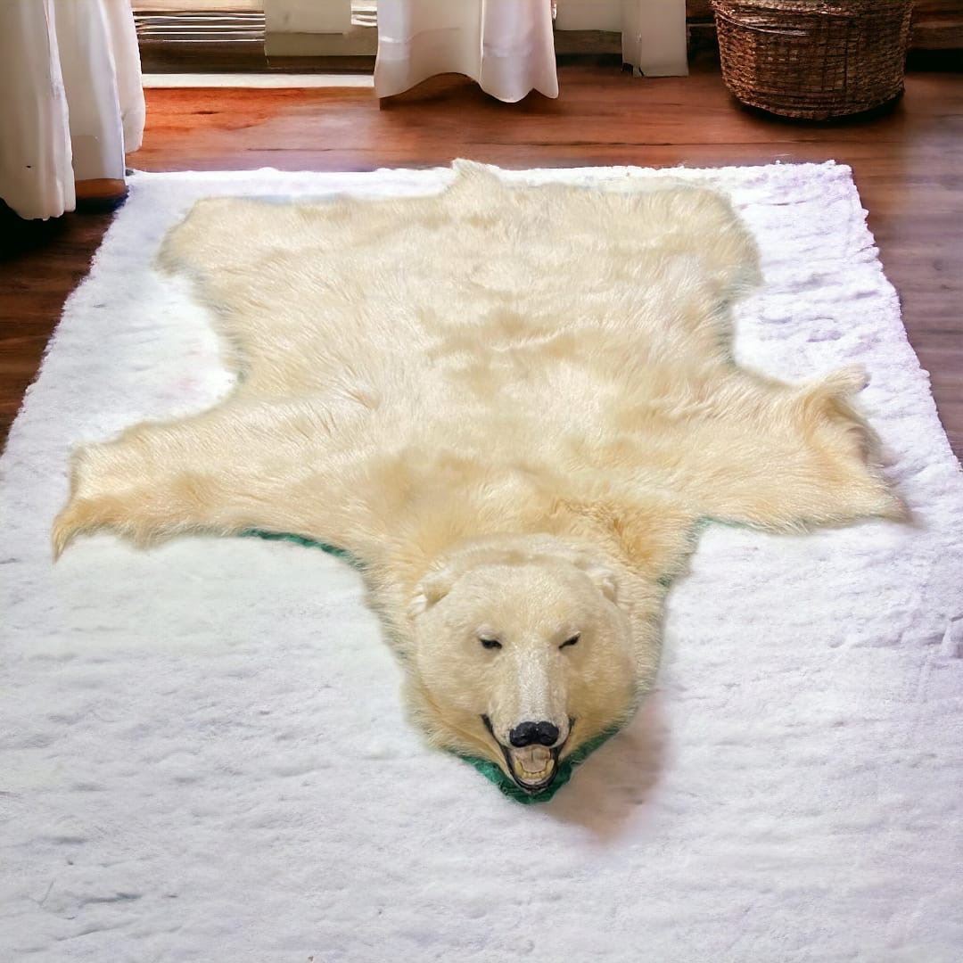 Polar Bear Rug - approx. 8ft x 6ft - Taxidermy 30 years in Winnipeg ...