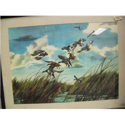 Watercolor by Bruce Layig of flying ducks- 28" x 35" (118)